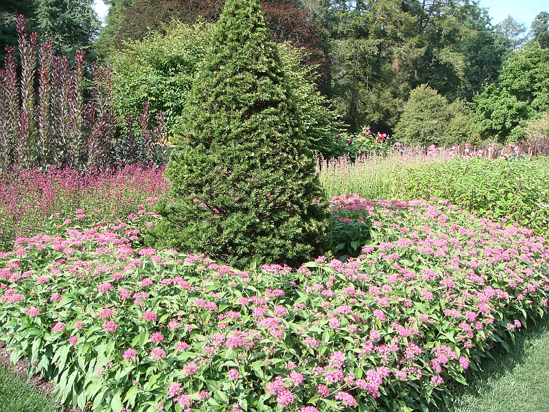 161 Longwood Gardens [2008 August 23].JPG - Longwood Gardens in Pennsylvania
